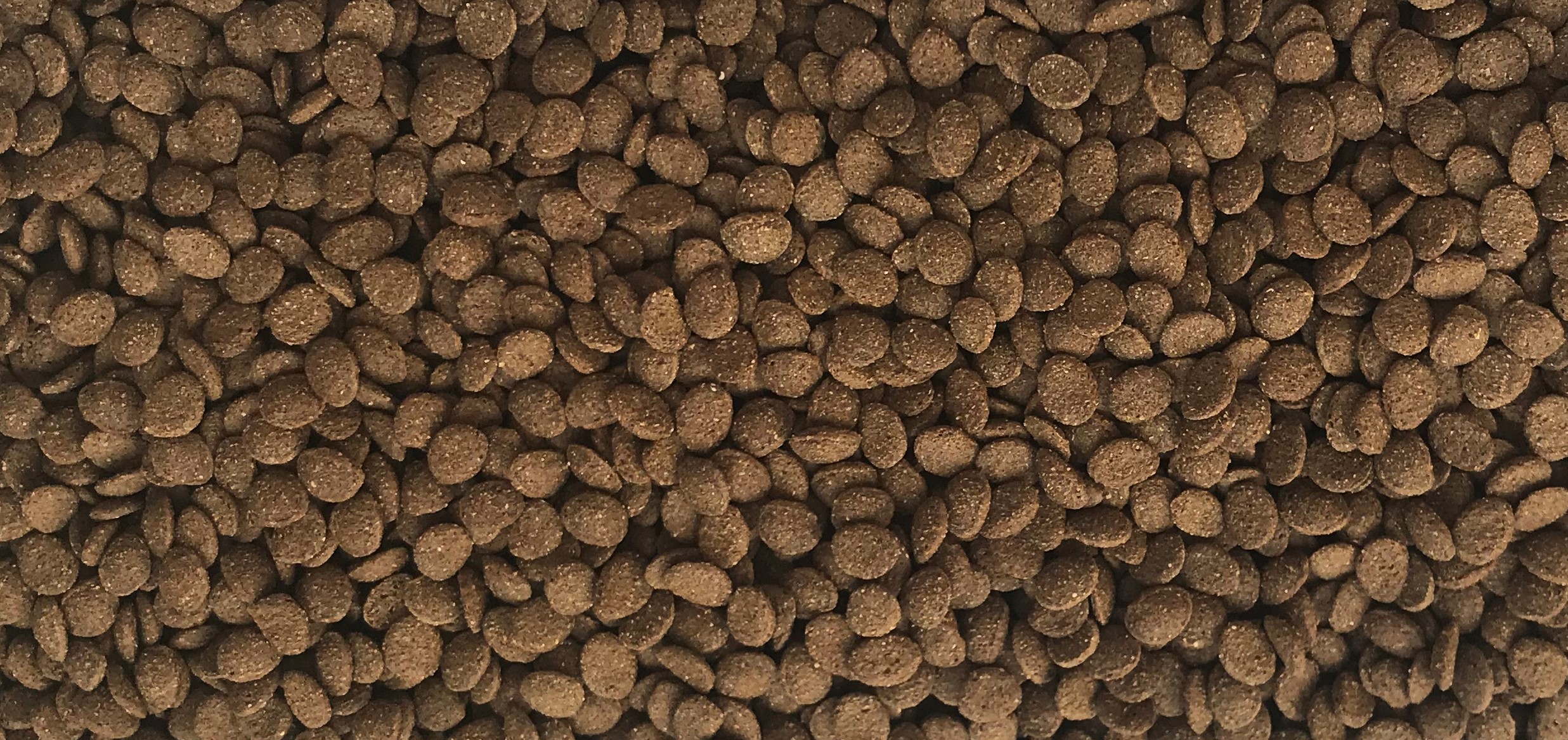 Image result for dajana pet turtle chips 250 ml